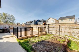 Photo 35: 25 Martha's Green NE in Calgary: Martindale Detached for sale : MLS®# A2129455