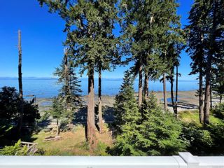 Photo 10: 4099 S Island Hwy in Campbell River: CR Campbell River South House for sale : MLS®# 912371