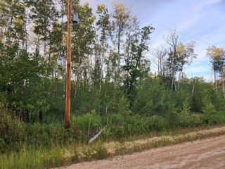 Photo 5: 53 Viking Trail in Gimli Rm: Vacant Land for sale : MLS®# 202303367