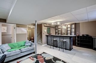 Photo 41: 25 Martha's Meadow Place NE in Calgary: Martindale Detached for sale : MLS®# A1259180