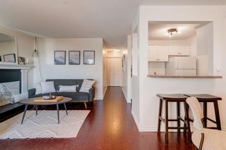 Photo 12: 303 607 7 Avenue NE in Calgary: Renfrew Apartment for sale : MLS®# A2033863