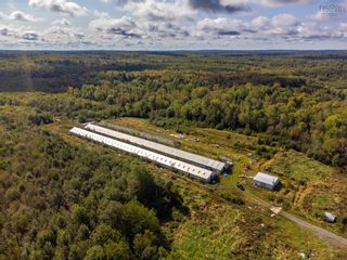 Photo 14: Waldec Line Road in Waldeck East: Annapolis County Farm for sale (Annapolis Valley)  : MLS®# 202319592