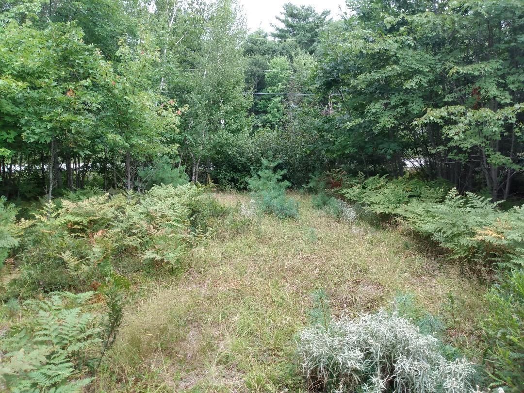Main Photo: Highway 325 in West Clifford: 405-Lunenburg County Vacant Land for sale (South Shore)  : MLS®# 202220360