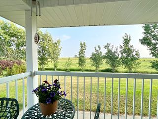 Photo 5: 146010 103 Road West in Dauphin: RM of Dauphin Residential for sale (R30 - Dauphin and Area)  : MLS®# 202319965