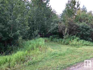Photo 3: 49 52245 RGE RD 232 Road: Rural Strathcona County Rural Land/Vacant Lot for sale : MLS®# E4295098