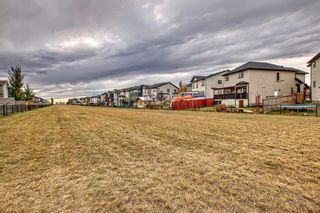 Photo 45: 15 Taralake Mews NE in Calgary: Taradale Detached for sale : MLS®# A2086711
