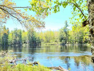 Photo 7: Lot 1 Medway River Road in Bangs Falls: 406-Queens County Vacant Land for sale (South Shore)  : MLS®# 202206174