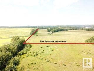 Photo 8: 50503 Rge Road 23: Rural Leduc County Rural Land/Vacant Lot for sale : MLS®# E4306912