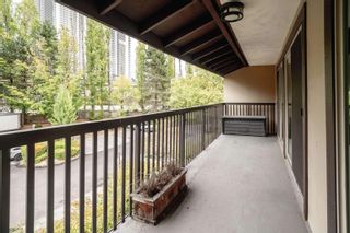 Photo 33: 402 9847 MANCHESTER Drive in Burnaby: Cariboo Condo for sale (Burnaby North)  : MLS®# R2816454