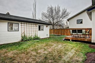 Photo 8: 959 MCKENZIE Drive SE in Calgary: McKenzie Lake House for sale : MLS®# C4183479