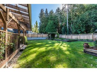Photo 17: 21554 46A Avenue in Langley: Murrayville House for sale in "Macklin Corners, Murrayville" : MLS®# R2108795