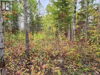 Photo 10: 14 Birch St in Manitowaning: Vacant Land for sale : MLS®# 2113802