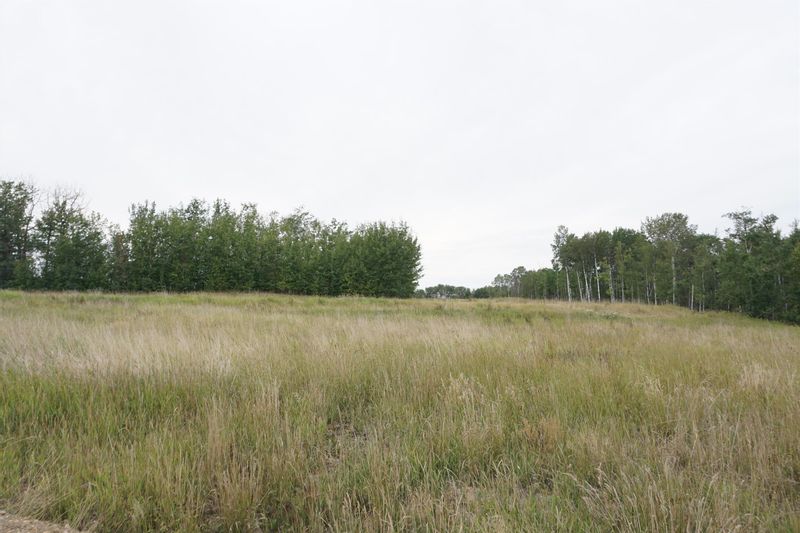 FEATURED LISTING: 14 - 53214 RR 13 Rural Parkland County