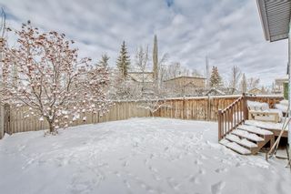 Photo 46: 114 Wentworth Way SW in Calgary: West Springs Detached for sale : MLS®# A2019345