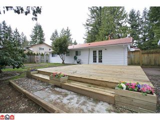 Photo 10: 4370 204TH Street in Langley: Brookswood Langley House for sale in "Brookswood" : MLS®# F1206281