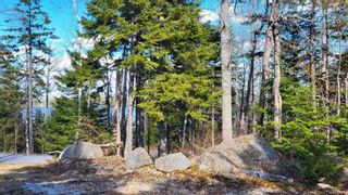Photo 9: LOT 9 Loon Lane in Aylesford: Kings County Vacant Land for sale (Annapolis Valley)  : MLS®# 202409711