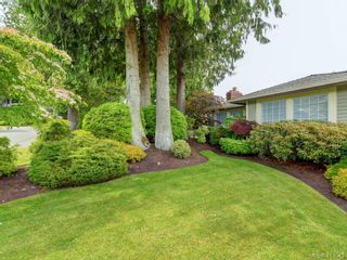 Photo 23: 4731 AMBLEWOOD Dr in VICTORIA: SE Cordova Bay House for sale (Saanich East)  : MLS®# 820003