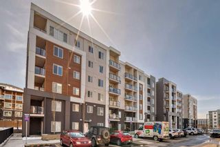 Photo 2: 2214 4641 128 Avenue NE in Calgary: Skyview Ranch Apartment for sale : MLS®# A2120636