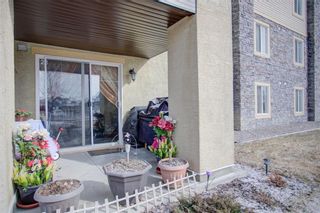 Photo 41: 1123 8810 Royal Birch Boulevard NW in Calgary: Royal Oak Apartment for sale : MLS®# A2024839