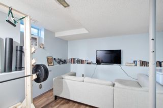 Photo 15: 3809 1 Street SW in Calgary: Parkhill Detached for sale : MLS®# A1061250