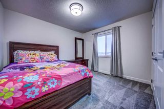 Photo 25: 273 Sage Meadows Park NW in Calgary: Sage Hill Detached for sale : MLS®# A2128029