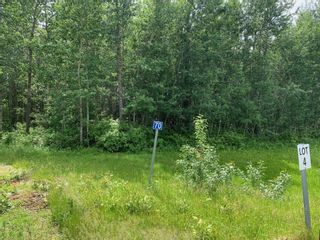 Photo 1: 70 47411 RR14: Rural Leduc County Rural Land/Vacant Lot for sale : MLS®# E4273719