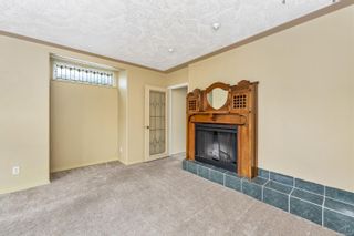 Photo 12: 3327 Cook St in Saanich: SE Maplewood House for sale (Saanich East)  : MLS®# 892193