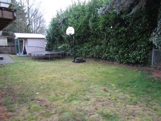 Photo 7: 2145 BROADWAY ST in ABBOTSFORD: House for rent (Abbotsford) 