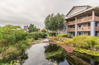 Photo 19: 305 5600 ANDREWS Road in Richmond: Steveston South Condo for sale in "THE LAGOONS" : MLS®# R2209894