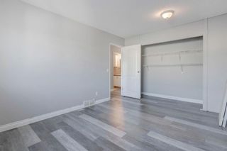 Photo 16: 142 Martindale Boulevard NE in Calgary: Martindale Detached for sale : MLS®# A1164239