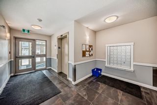 Photo 2: 103 76 Panatella Road NW in Calgary: Panorama Hills Apartment for sale : MLS®# A2126978