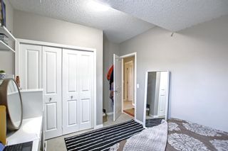 Photo 31: 250 Martinwood Place NE in Calgary: Martindale Detached for sale : MLS®# A1186078