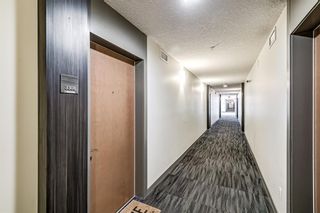 Photo 22: 3308 95 Burma Star Road SW in Calgary: Currie Barracks Apartment for sale : MLS®# A2030134