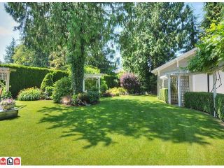 Photo 8: 4451 212 Street in Langley: Brookswood Langley House for sale in "Cedar Ridge" : MLS®# F1218845