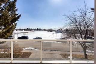 Photo 44: 164 Whitlow Place NE in Calgary: Whitehorn Detached for sale : MLS®# A2030961