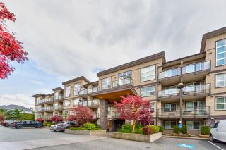 Photo 22: 425 30525 CARDINAL Avenue in Abbotsford: Abbotsford West Condo for sale in "Tamarind" : MLS®# R2757150