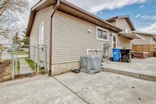 Photo 32: 207 Whitaker Close NE in Calgary: Whitehorn Detached for sale : MLS®# A2047027