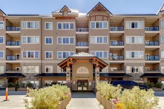 Photo 1: 325 10 Discovery Ridge Close SW in Calgary: Discovery Ridge Apartment for sale : MLS®# A1240599
