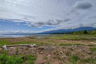 Photo 34: 7979 White Duck Rd in Fanny Bay: CV Union Bay/Fanny Bay House for sale (Comox Valley)  : MLS®# 902525