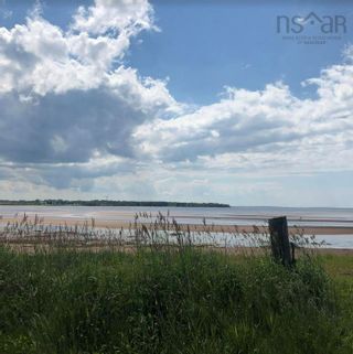 Photo 10: 81 Murphy Road in Cape John: 108-Rural Pictou County Vacant Land for sale (Northern Region)  : MLS®# 202215614