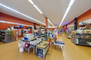 Photo 4: 3020 3rd Ave in Port Alberni: PA Port Alberni Retail for sale : MLS®# 906756