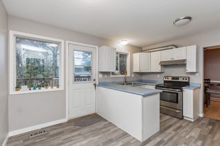 Photo 10: 32325 SEAL Way in Abbotsford: Abbotsford West House for sale : MLS®# R2748308