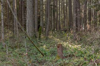 Photo 26: LOT 1 DOOLE Rd in Nanaimo: Na Cedar Land for sale : MLS®# 952214