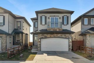 Photo 41: 51 Taracove Estate Drive NE in Calgary: Taradale Detached for sale : MLS®# A2126069