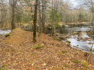 Photo 8: Lot 19 Acres Highway 8 in South Brookfield: 406-Queens County Vacant Land for sale (South Shore)  : MLS®# 202302255