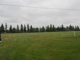 Photo 1: 4819 57 Ave: Eckville Industrial Land for sale : MLS®# A1193687