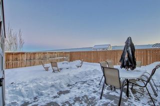Photo 36: 395 Copperfield Grove SE in Calgary: Copperfield Detached for sale : MLS®# A2009768