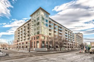 Main Photo: 315 46 9 Street NE in Calgary: Bridgeland/Riverside Apartment for sale : MLS®# A1172956