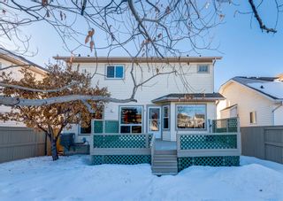 Photo 28: 43 Riverview Circle SE in Calgary: Riverbend Detached for sale : MLS®# A2018294