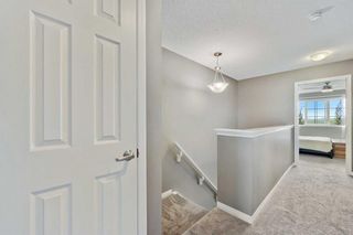 Photo 19: 161 Hillcrest Square SW: Airdrie Row/Townhouse for sale : MLS®# A2063624